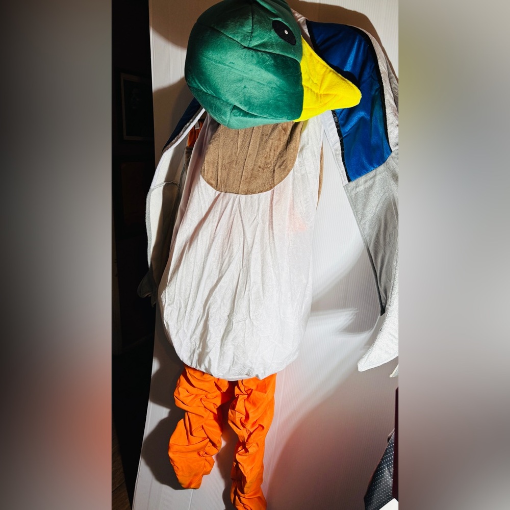 Duck Costume with Green Head and Orange Legs
